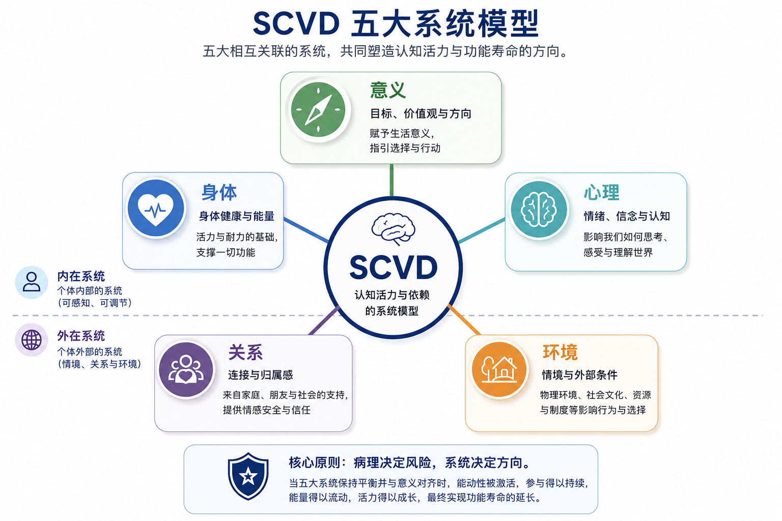 SCVD: Looking Beyond the Brain