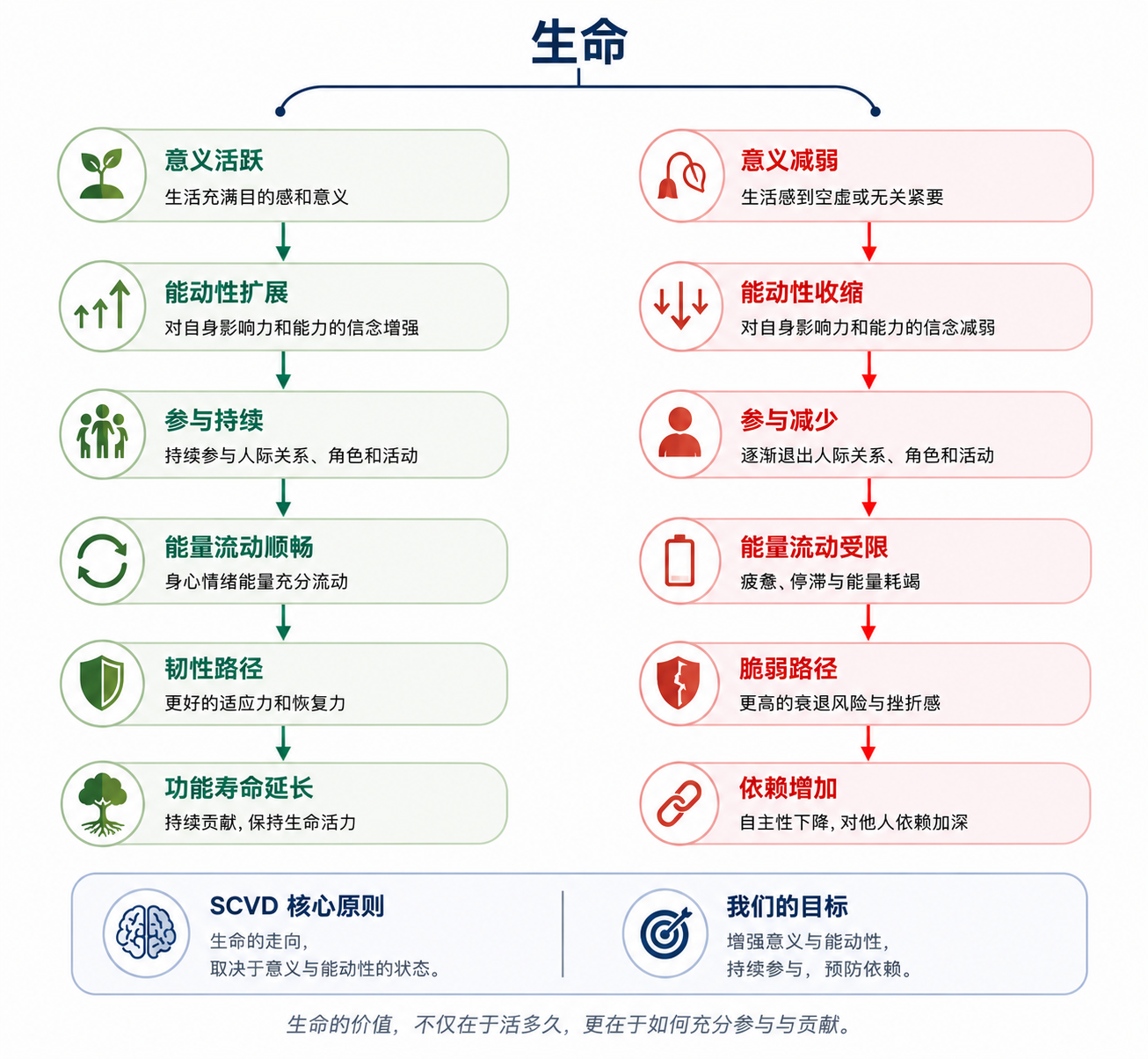 The Resilience Path and Vulnerability Path