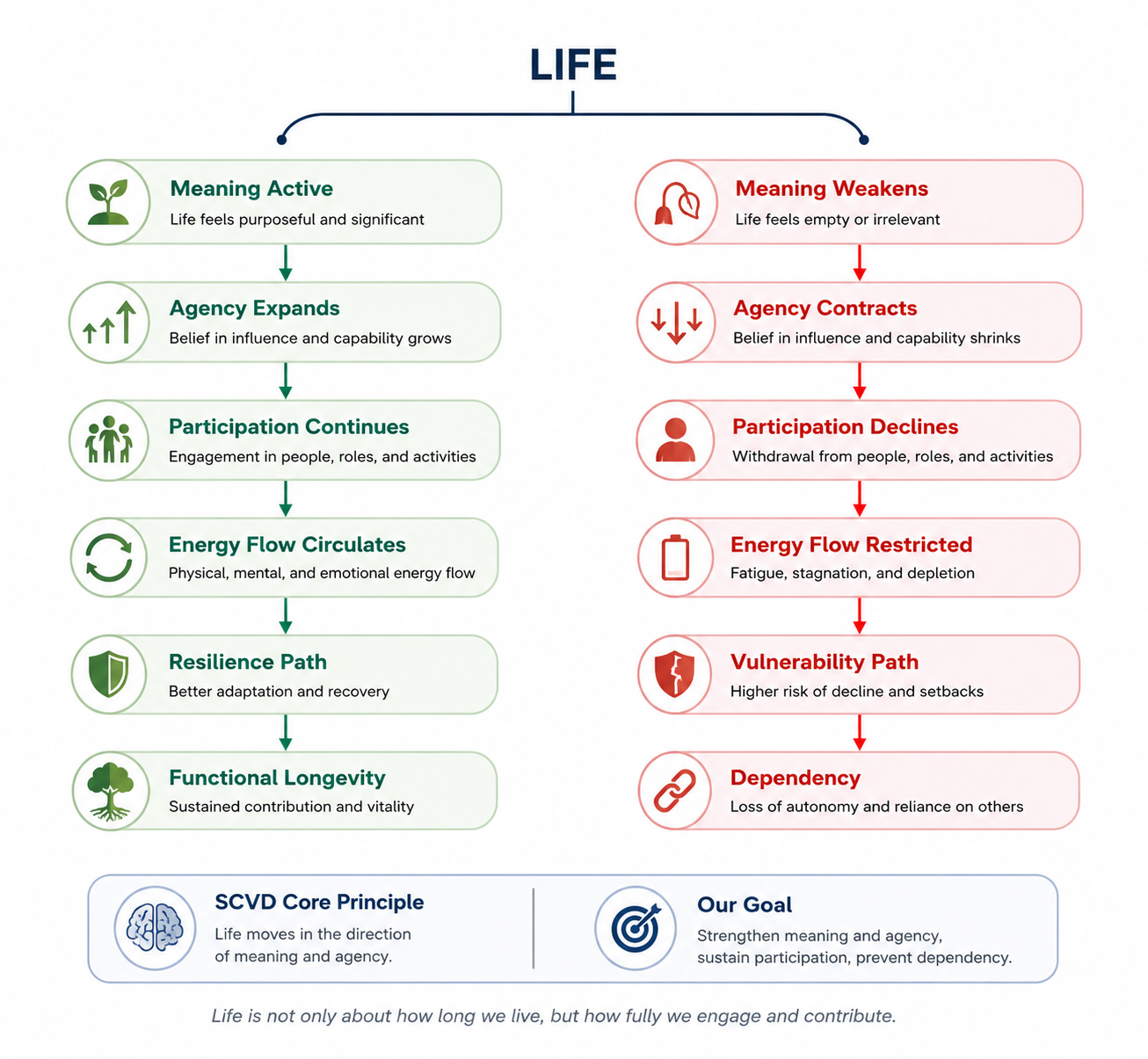 The Resilience Path and Vulnerability Path